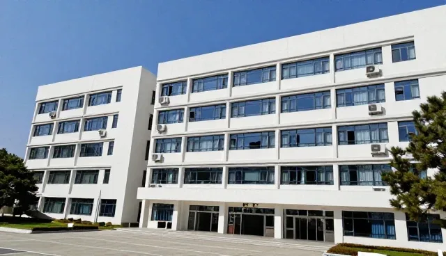 室内软装搭配设计优化的适用条件与选择依据